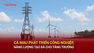 Cà Mau phát triển công nghiệp, năng lượng tạo đà cho tăng trưởng