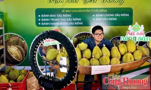 Thương mại điện tử mở thêm kênh xuất khẩu cho doanh nghiệp Việt