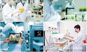 Quyết định giải thể Hội đồng Quốc gia về Khoa học, Công nghệ và Đổi mới sáng tạo