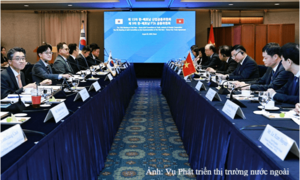 Việt Nam - Hàn Quốc thúc đẩy hợp tác thương mại, công nghiệp và năng lượng 