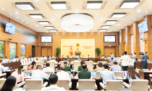 Sửa 4 luật ngành Công Thương để tháo gỡ điểm nghẽn kinh doanh