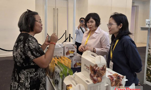Gần 200 gian hàng tham gia Ngày hội xúc tiến giao thương Hàn - Việt