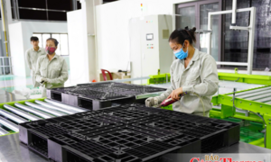 Đảm bảo ESG: Lá chắn chống 'tẩy xanh' cho hàng xuất khẩu EU
