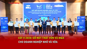 CEF II 2026: Gỡ nút thắt vốn và M&A cho doanh nghiệp nhỏ và vừa