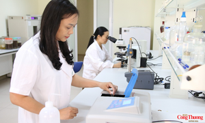 Triển khai Nghị quyết 57 chuyển mạnh sang giai đoạn tổ chức thực hiện