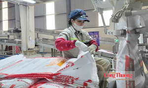 Giảm phát thải dần trở thành bài toán năng lực cạnh tranh
