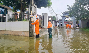 Hà Nội: Triển khai đảm bảo an ninh, an toàn hành lang bảo vệ công trình điện lực