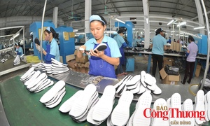 GoGlobal và cách làm mới để doanh nghiệp đi xa