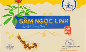Sâm Ngọc Linh Bảo Ly: Lan tỏa giá trị dược liệu đến cộng đồng 