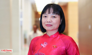 Hệ sinh thái startup: Nền móng của đổi mới sáng tạo quốc gia