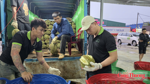 Đắk Lắk xây dựng 3 kịch bản tiêu thụ 500.000 tấn sầu riêng