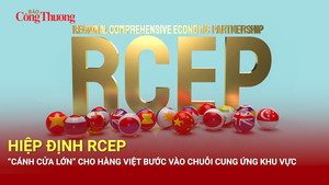 Hiệp định RCEP: 