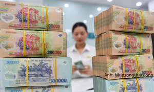 Ngân hàng chiếm 48,5% lượng trái phiếu phát hành trong 7 tháng 