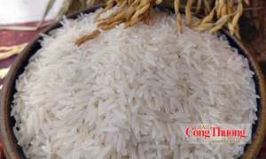 Xuất khẩu gạo Việt: Đã đến lúc không chỉ tính bằng triệu tấn
