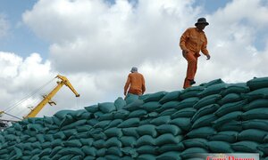 Bộ Công Thương chủ động tạo thuận lợi cho xuất khẩu gạo