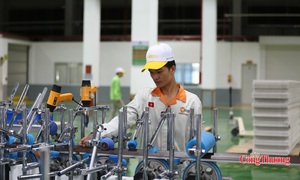 Hơn 138.000 doanh nghiệp thành lập mới trong 8 tháng năm 2026