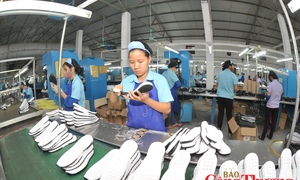 Ông Lê Đình Bá: Không thể để lợi thế UKVFTA trở thành cơ hội bị bỏ lỡ