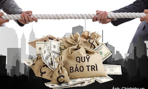 Chủ đầu tư có thể bị phạt 300 triệu đồng nếu quản lý nhà chung cư sai quy định