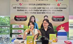 Xúc tiến thương mại số: Doanh nghiệp cần chủ động bảo vệ thương hiệu