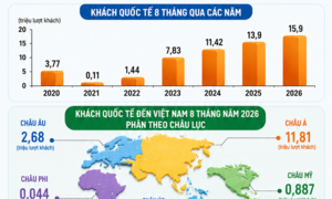 Infographic | Khách quốc tế đến Việt Nam tăng 14,4% trong 8 tháng