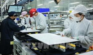 Đầu tư của Việt Nam ra nước ngoài trong 8 tháng tăng gấp 4,7 lần