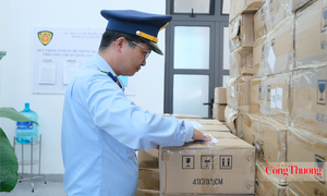 Lâm Đồng: Xử lý 229 vụ vi phạm trong tháng 8, thu hơn 11,4 tỷ đồng 