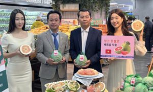 Việt Nam - Hàn Quốc hướng tới kim ngạch thương mại 150 tỷ USD vào năm 2030
