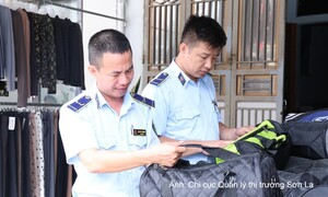 Sơn La: Xử lý 59 vụ vi phạm trong tháng 8, thu hơn 253 triệu đồng
