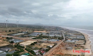 Chính sách hỗ trợ người dân bị thu hồi đất làm dự án điện hạt nhân