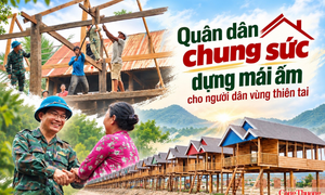 Quân dân chung sức dựng mái ấm cho người dân vùng thiên tai