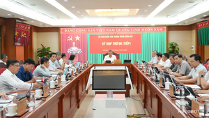 Bộ Chính trị ban hành Quy định về kỷ luật tổ chức đảng, đảng viên vi phạm