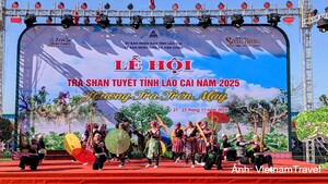 Lào Cai tổ chức Festival Trà Shan tuyết năm 2026 từ ngày 25 - 27/9