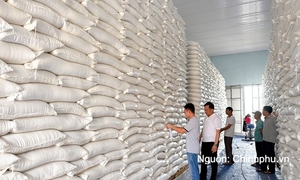 Các trường hợp nhập, xuất hàng dự trữ quốc gia theo quy định mới
