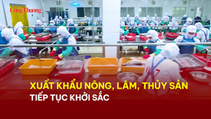 Xuất khẩu nông, lâm thủy sản tiếp tục khởi sắc