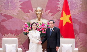 Động lực củng cố quan hệ đối tác toàn diện Việt Nam - Mông Cổ