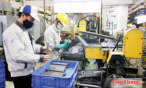 Xây dựng các cực tăng trưởng công nghiệp quy mô vùng