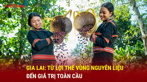 Gia Lai: Từ lợi thế vùng nguyên liệu đến giá trị toàn cầu