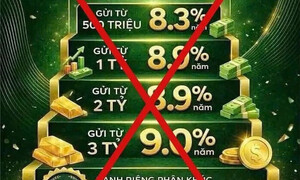 Lãi suất khủng thành 'mồi câu' giăng bẫy người gửi tiền