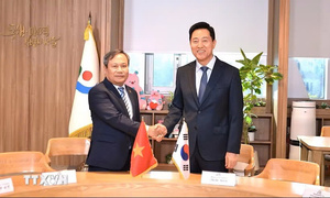 Hà Nội và Seoul thúc đẩy tăng cường hợp tác song phương chiến lược