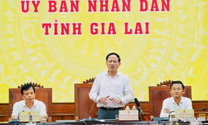 Gia Lai: Kinh tế tháng 8 duy trì đà tăng, nhiều lĩnh vực bứt phá