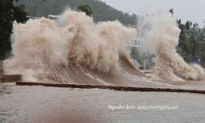 Cảnh báo áp thấp nhiệt đới có thể mạnh lên thành bão trên Biển Đông