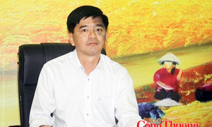 Giá lúa chạm đáy, chờ lực đẩy từ thị trường xuất khẩu