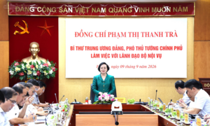 Nghiên cứu mô hình đơn vị hành chính cấp xã mang tính hạt nhân tiêu biểu