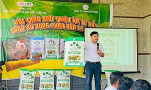 Supe Lâm Thao tư vấn dinh dưỡng cho sầu riêng sau thu hoạch