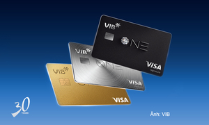 VIB: Từ dẫn đầu xu thế đến chiếc thẻ phát triển cùng khách hàng 