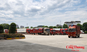 Lào Cai mở rộng không gian phát triển, hướng ra thị trường quốc tế
