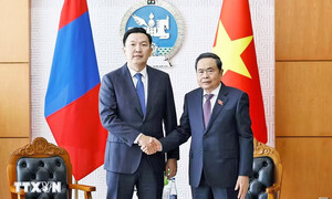Thúc đẩy hợp tác kinh tế, thương mại Việt Nam - Mông Cổ