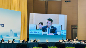 Việt Nam nhấn mạnh ba ưu tiên trong hợp tác năng lượng APEC
