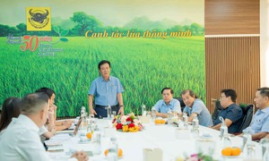 Xanh hoá từ nhà máy đến ruộng vườn