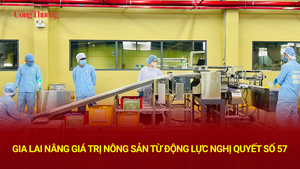 Gia Lai nâng giá trị nông sản từ động lực Nghị quyết số 57